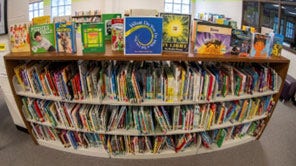 Bookshelf in a library
